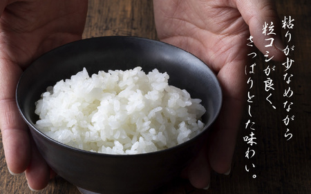【新米・先行予約】旨いご飯！お米 ハナエチゼン 5kg 「白米」 令和6年 福井県産【米 はなえちぜん 華越前 人気品種 ブランド米 5キロ 精米 白米 玄米  5ぶづき米 おにぎり うまい ぶつき米