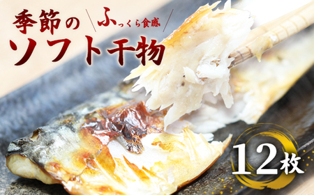 干物 12枚 おまかせ干物セット