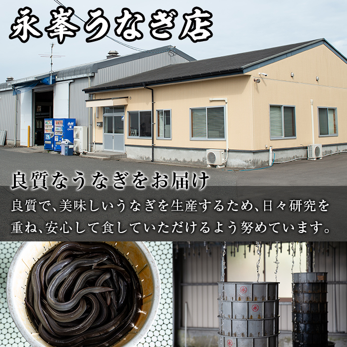 【036901b】＜定期便・全2回＞大隅産うなぎの蒲焼 (計840g・(140g×3尾)×2回・有頭)うなぎ 高級 ウナギ 鰻 国産 蒲焼 蒲焼き たれ 鹿児島【永峯うなぎ店】