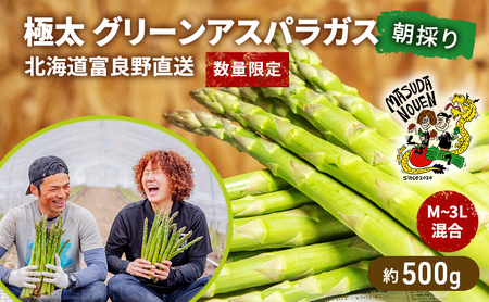 アスパラガス 富良野産 極太グリーン M〜3L混合 益田農園【約500g】【先行予約】