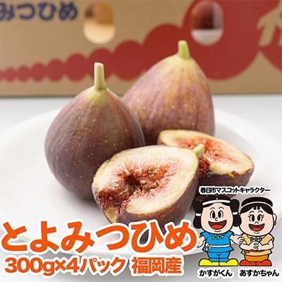 ふるさと納税 春日市 【先行受付】【春日】福岡限定!ブランドいちじく「とよみつひめ」約300g×4パック