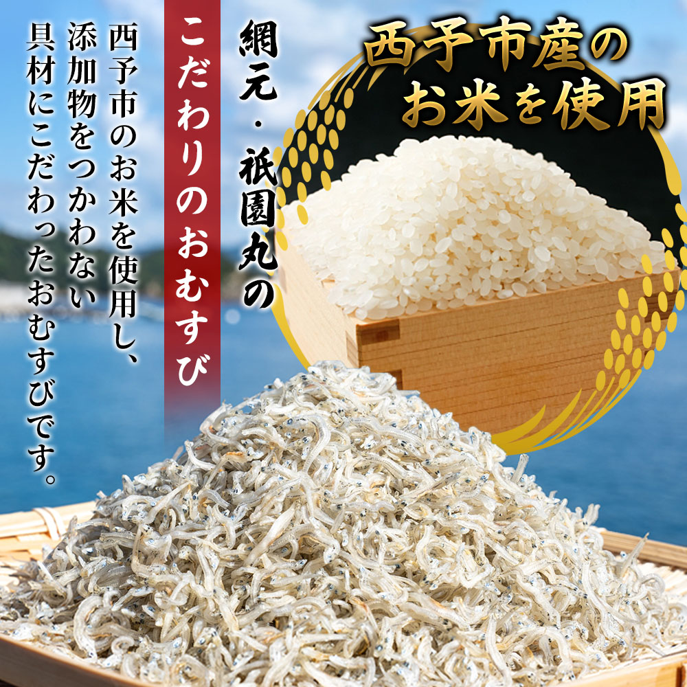 ＜【2回定期便】漁師の朝めし 9種おむすびセット 合計18個（各2個）＞ 定期便 詰合せ おにぎり お米 こめ ちりめん 山椒 生姜 青のり つくだ煮 しそわかめ 大根葉 梅ごま ひじき 網元・祇園丸