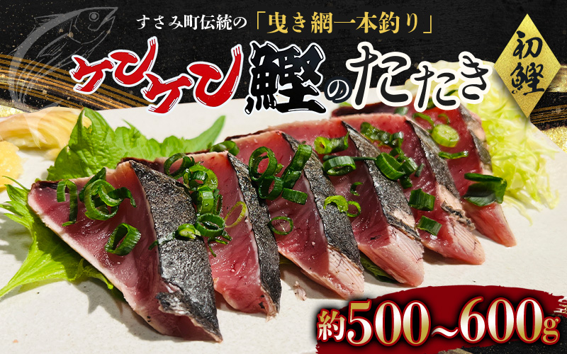 和歌山県すさみ産 初鰹！ ケンケン鰹のたたき 約500g～600g / 初鰹 鰹 かつお かつおのたたき 刺身 タタキ 天然 冷凍 真空 小分け 個包装 加工品 魚 和歌山県 すさみ町【scp001A