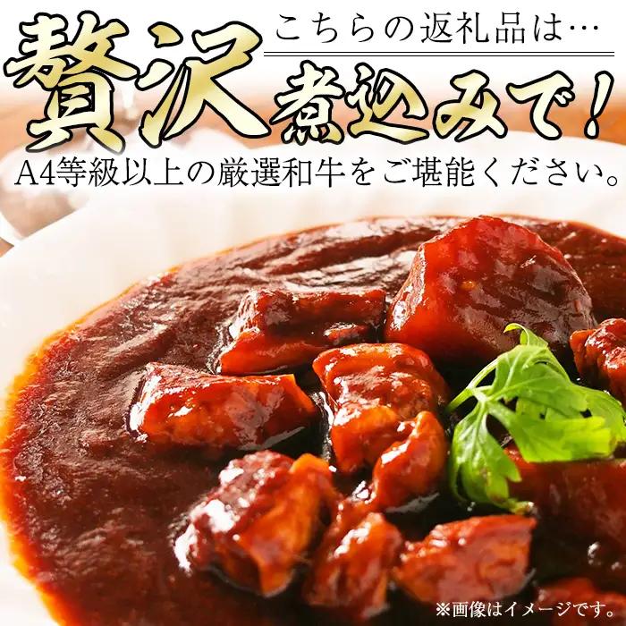 高千穂牛 すね肉(計800g・400g×2P)【MT003】【JAみやざき 高千穂牛ミートセンター】