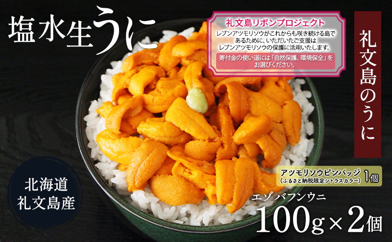 【礼文島リボンプロジェクト】北海道 礼文島産  塩水ウニ （ エゾバフンウニ ）100g×2  生うに うに 雲丹 