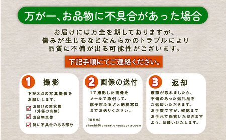 【先行予約】 とうもろこし アフロコーン 約5kg （2026年7月上旬～8月上旬配送） とうもろこし