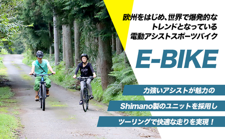 レンタサイクル E-BIKE 2時間利用券 2,000円分 利用券 体験チケット 観光 自転車 アシスト付き アクティビティ 移動手段 河津町 静岡県