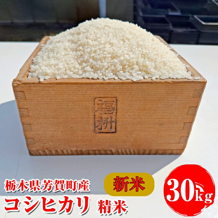 【ふるさと納税】令和7年産新米 栃木県芳賀町産 コシヒカリ 精米 30kg｜米 お米 新米 白米 コメ こめ 国産 産地直送 旬 期間限定 季節限定 送料無料 ※2025年9月下旬頃～2026年1月下旬頃に順次発送予定