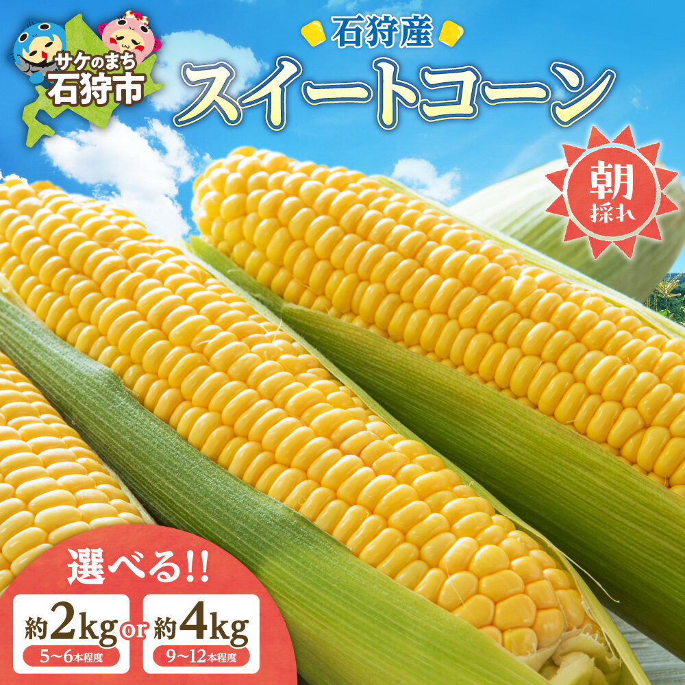 【ふるさと納税】とうもろこし 北海道石狩産 スイートコーン 【選べる 内容量】2kg 約5～6本 4kg 約9〜12本 トウモロコシ とうきび トウキビ フルーツ 恵ゴールド 旬 品種 甘い イエロー 黄色 美味しい 北海道 石狩市
