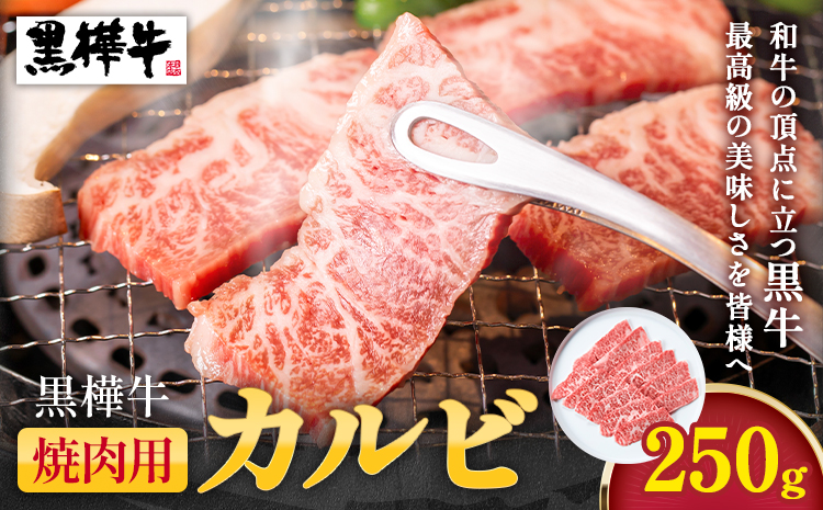熊本県産黒毛和牛　黒樺牛焼肉用カルビ　250g 肉好き必見 黒毛和牛 黒樺牛 肉 牛肉 250g×1 焼肉 カルビ 国産 専門店 熊本県 取り寄せ 贈答 ギフト お中元 お歳暮 熊本 阿蘇 産山村 送