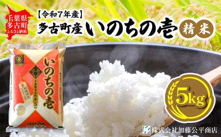 【令和7年産】多古町産いのちの壱 精米5kg_ 精米 米 _【配送不可地域：離島・沖縄県】 TAKE004