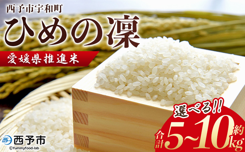 
            新米 令和7年産 愛媛県推進米 ひめの凜 約5kg/10kg 5kg 10kg お米 コメ こめ 白米 精米 ご飯 ライス 穀物 ひめのりん ヒメノリン ヒメノ凜 ブランド米 大粒 ツヤツヤ 特産品 愛媛県産 西予市産 宇和町産 三好フク 愛媛県 西予市 【常温】
          