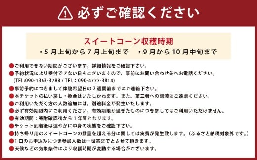 F5 アッキーファーム スイートコーン収穫体験 （スイートコーン20本込み） _イメージ3