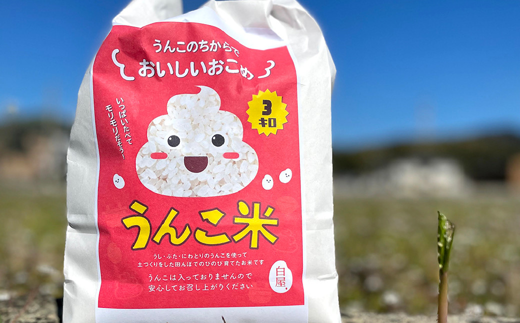 うんこ米 精白米 3kg