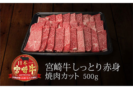 ＜宮崎牛＞しっとり赤身焼肉 500g※90日以内出荷【B217】