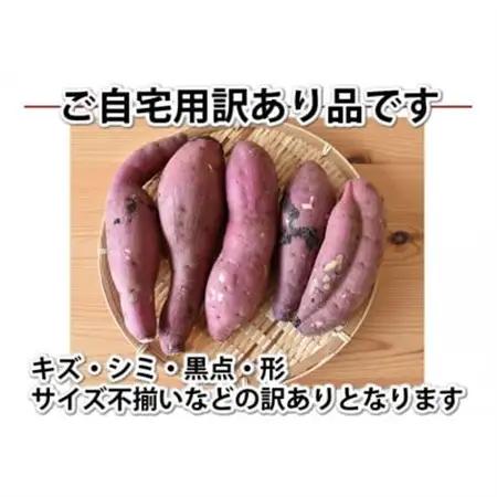 訳あり紅はるか 約10kg(益城町)【1586572】