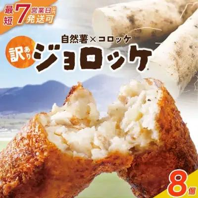 Y19-08 じねんじょコロッケ ジョロッケ 8個セット 自然薯 コロッケ