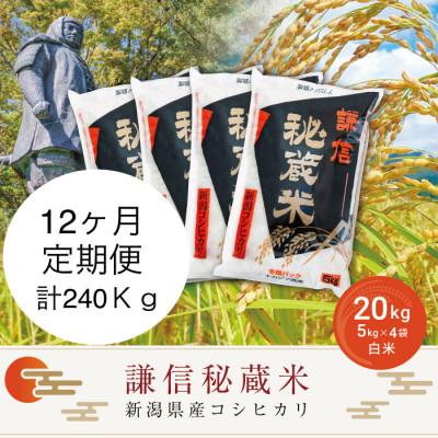 ふるさと納税 上越市 【毎月定期便】謙信秘蔵米20kg全12回