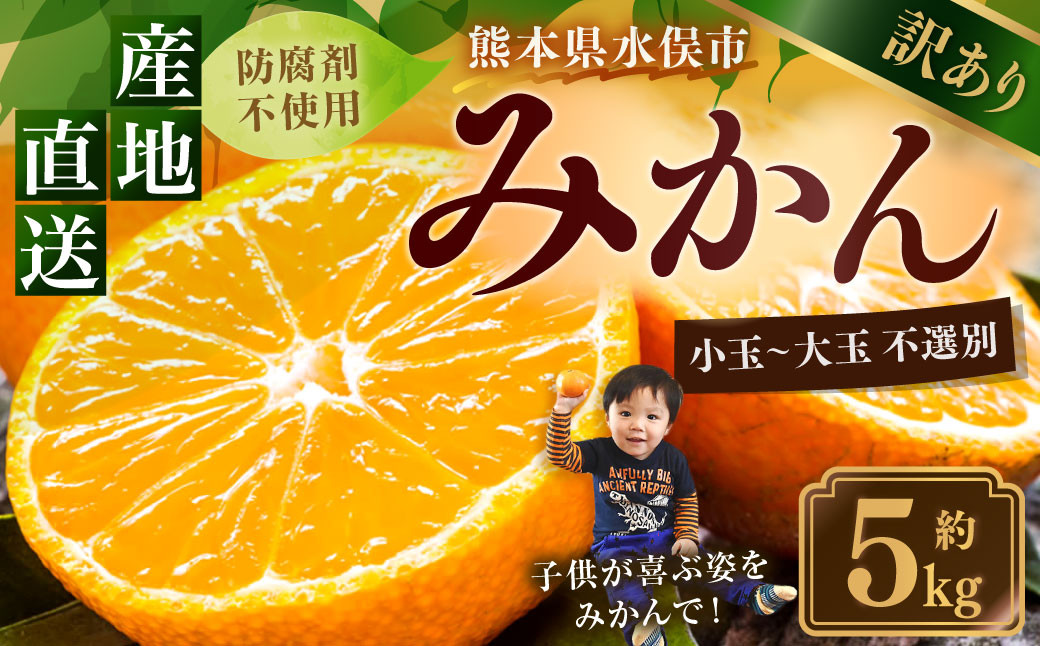 
            訳あり みかん 約5kg 蜜柑 ミカン 果物 くだもの フルーツ 【2025年10月上旬から2026年2月下旬順次発送予定】
          