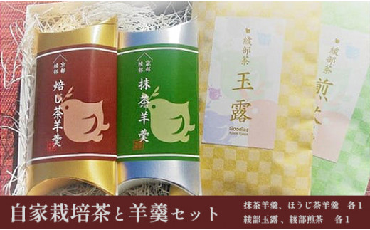 茶園の自家栽培茶と特製綾部茶ようかんのセット（ 抹茶ようかん / ほうじ茶ようかん / 綾部玉露 / 綾部煎茶 ） / 日本茶 和菓子 ギフト 綾部市 / グディーズ［BSAW004］