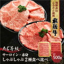 【ふるさと納税】2種食べ比べしゃぶしゃぶ！飛騨牛 A5等級 ( サーロイン 250g / もも 250g ) 500g 丹生川精肉 JJ006