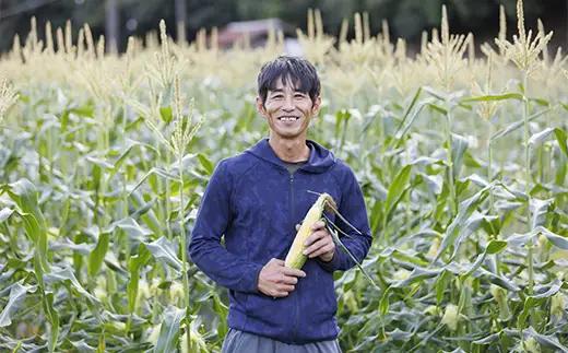 朝採りとうもろこし 10本セット とうきび トウキビ トウモロコシ コーン 野菜 食品 F6L-1413