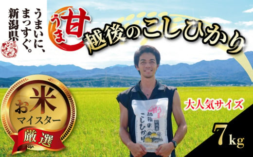 【令和6年産】甘うま越後のこしひかり 7kg 越後 えちご 玄米 特別栽培米 新潟 コメ こめ お米 米 しんまい 新潟県 新潟米 新発田市 新発田 斗伸