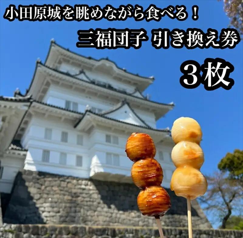 小田原城を眺めながら食べるお団子 三福団子引換券 3本分 くるみ味噌 みたらし団子【 引換券 神奈川県 小田原市 団子】