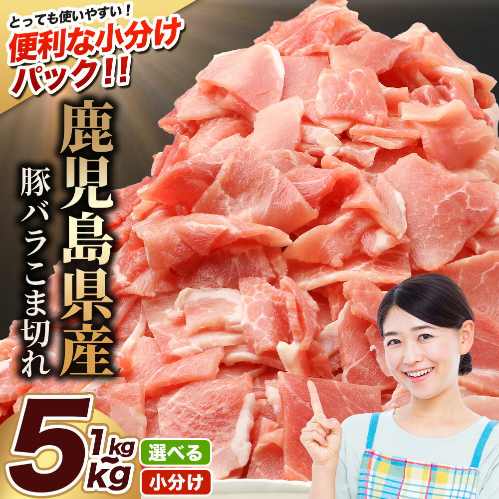 【ふるさと納税】鹿児島県産 豚バラ切り落とし 【選べる内容量1kg～5kg】 鹿児島県 南大隅町 国産豚 250g 豚肉切り落とし 豚バラ肉 小分け 豚キムチ 炒め物 焼肉 こま切れ 切り落とし 細切れ 小間切れ 薄切り スライス お肉 肉 豚肉 冷凍