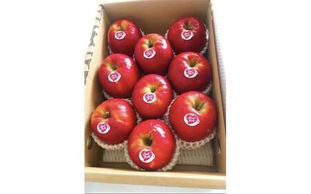 【2026年3月発送開始】希少品種ピンクレディ 山形県産 りんご（ピンクレディー）2kg 化粧箱入り FSY-2595