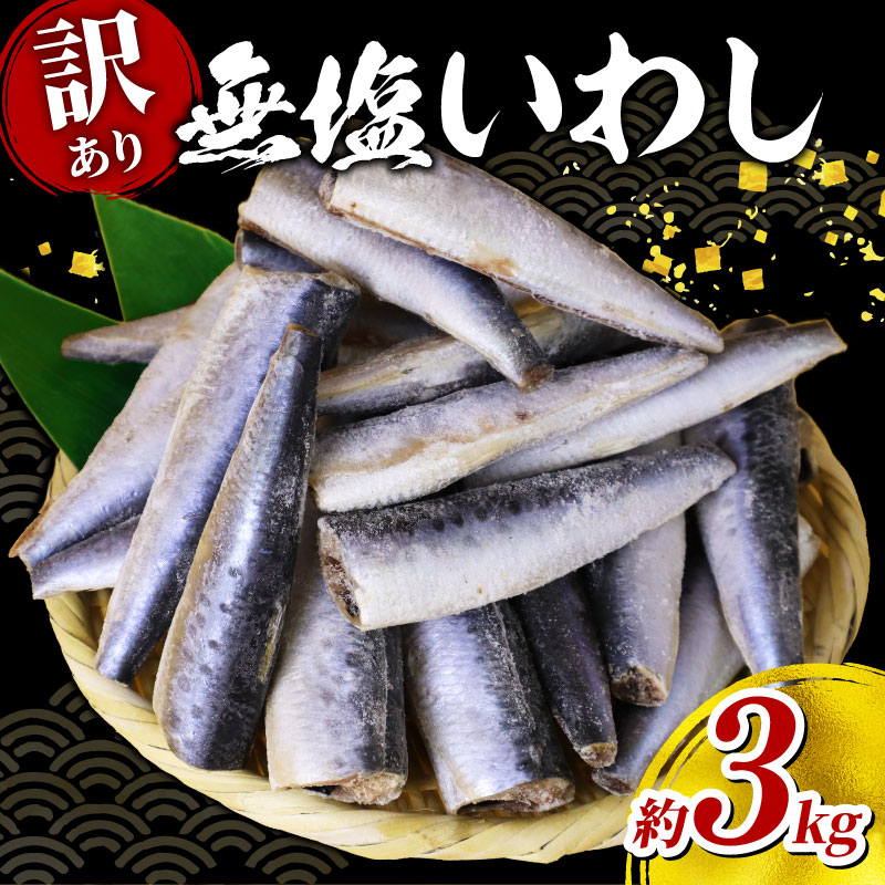 【ふるさと納税 】 ＼最短7営業日以内発送／ 訳あり いわし 無塩 ドレス 約 3kg 国産 千葉県産 イワシ 冷凍 鰯 頭なし 内蔵除去 簡単調理 手軽 つみれ ハンバーグ 煮物 かば焼き 梅煮 和風 料理 和食 おすすめ お弁当 人気 魚 海鮮 訳アリ 千葉県 旭市 株式会社ヤマゴ
