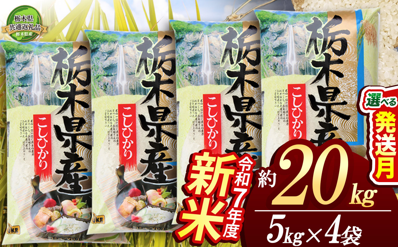 
            【栃木県共通返礼品】【先行予約】コシヒカリ20kg（5kg×4袋) | 定期便あり 米 こめ コメ kome 白米 精米 お米 こしひかり ｺｼﾋｶﾘ 新米 栃木米 令和7年度米 令和7年度 2025年度米 2025年度 ブランド米 栃木県 特産品 送料無料 栃木県 下野市 しもつけ市
          