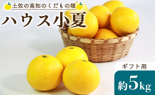 【先行予約】ハウス小夏（日向夏）約5kg（ギフト用）- ニューサマーオレンジ 柑橘 果物 くだもの フルーツ こなつ おいしい 国産 贈答用 お礼 御礼 感謝 果汁 甘い 瑞々しい みずみずしい フレッシュ 爽やか さわやか 国産 送料無料 土佐の高知のくだもの畑 高知県 香南市 kd-0010