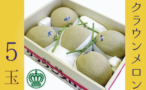 クラウンメロン大玉（白等級）５玉詰