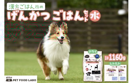 漢方ごはん改めげんかつごはん水（ドライ1000g＋レトルト2個）セット