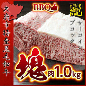 【期間・数量限定】大府市特産　A5黒毛和牛特選サーロイン塊肉　1.0kg