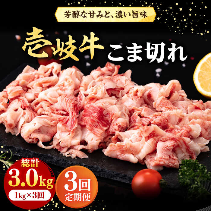 【ふるさと納税】【全3回定期便】 壱岐牛 こま切れ （バラ） 1kg《壱岐市》【株式会社イチヤマ】[JFE062] 冷凍配送 黒毛和牛 A5ランク 定期便 赤身 肉 牛肉 細切れ 小間切れ BBQ 焼肉 焼き肉 93000 93000円 焼肉用
