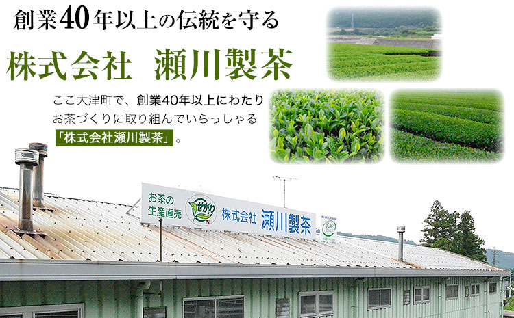 特撰 玉緑茶 たまりょくちゃ 一番茶 100g×5本 熊本県 大津町産 株式会社 瀬川製茶《60日以内に出荷予定(土日祝除く)》