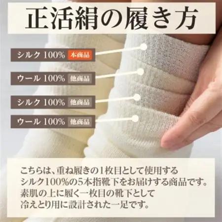 正活絹 冷えとり靴下 シルク5本指 2足セット(LLサイズ)_装飾品・工芸品  服飾小物 _【1584066】