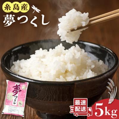 ふるさと納税 糸島市 糸島産 夢つくし 5kg 糸島市/三島商店[AIM001]