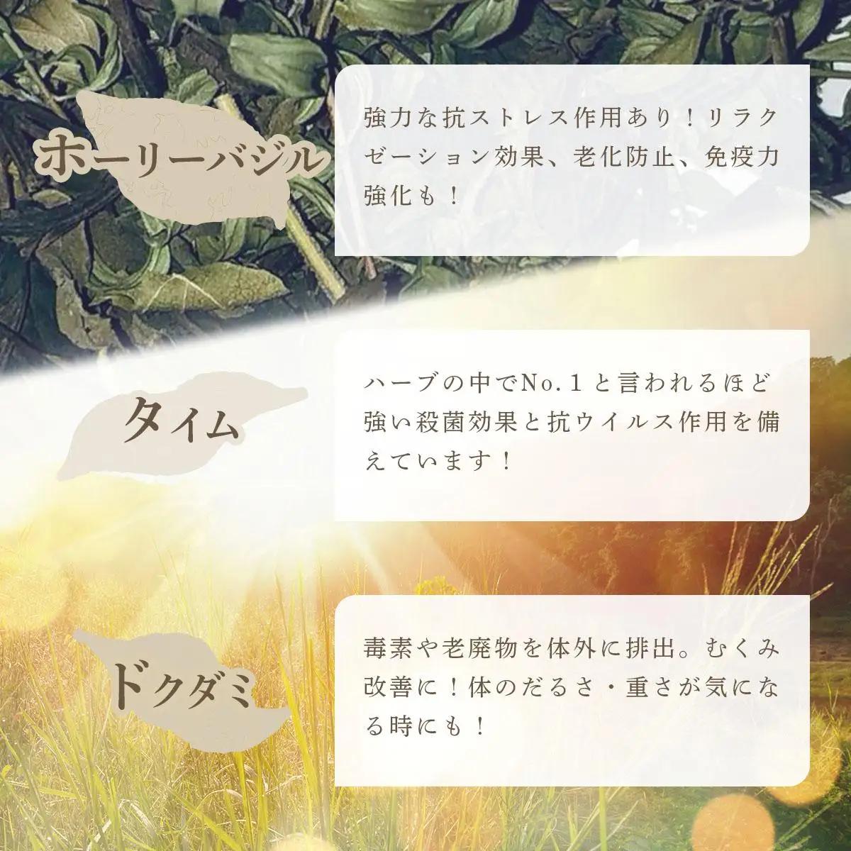 【定期便】森のハーブティーセット(3点合計39g)  ≪2ヶ月に1回 計3回のお届け≫【無農薬・化学肥料不使用】【51102】