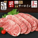 【ふるさと納税】【訳あり】牛 サーロインステーキ 計1kg (100g×10枚) インジェクション加工 | ふるさと納税 ステーキ 牛肉 牛 サーロイン ステーキ肉 佐賀県産 佐賀県 鹿島市 ふるさと 人気 送料無料 B-615