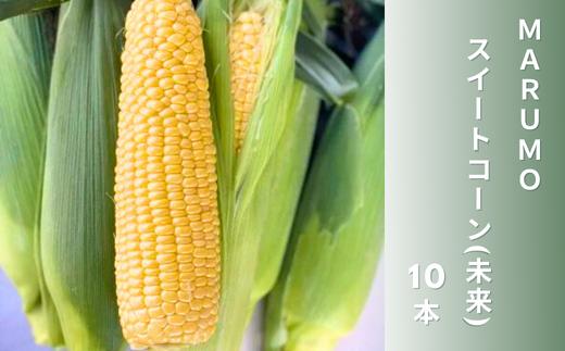 
            【令和７年産予約受付】　本山農場　ＭＡＲＵＭＯスイートコーン（未来）１０本 とうもろこし コーン とうきび 野菜 ベジタブル 産地直送 送料無料 北海道 道産 [013-84]
          