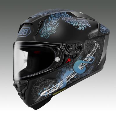ふるさと納税 稲敷市 SHOEI【X-Fifteen OROCHI(BLACK/GREEN)】L PFSチケット付き