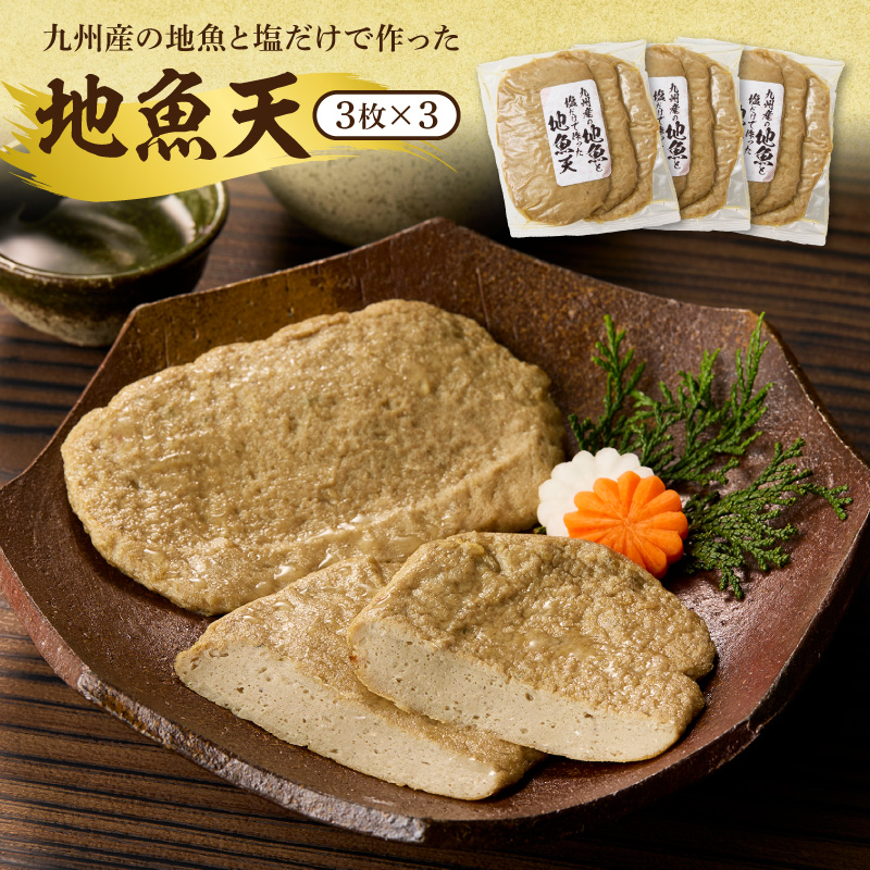 塩と地魚だけで作った天ぷらセット N006-YA4431