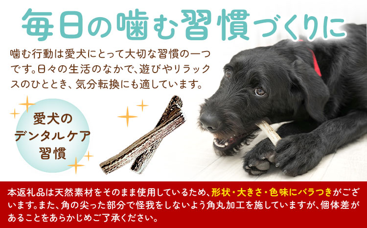 ペットのデンタルケア えぞ鹿の角 Sサイズ 株式会社K《30日以内に出荷予定(土日祝除く)》北海道 日高町 ペットデンタルケア えぞ鹿 おもちゃ