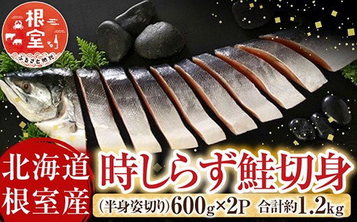 
                  C-42100 【北海道根室産】時しらず鮭切身600g×2P
                