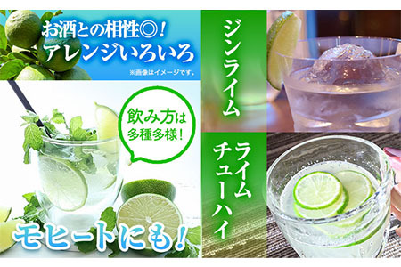 国産ライム 約1.5kg ライム