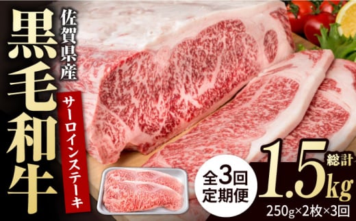 【3回定期便】佐賀県産 黒毛和牛 贅沢 サーロインステーキ 250g×2枚（計500g）【いろは精肉店】佐賀県産 佐賀産和牛 牛肉 国産 肉 和牛 サーロイン ステーキ さーろいん すてーき 冷凍 白石町 九州 定期便 人気 高評価 九州 佐賀県 白石町 [IAG087]