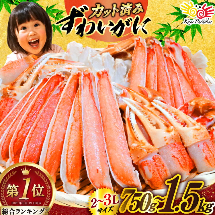 【ふるさと納税】 訳あり 【選べる内容量】カット済み 生 ずわいがに むき身 セット 総重量750g/1.5kg (正味重量600g/1.2kg) 2-3Lサイズ [カネダイ 宮城県 気仙沼市 20565777] かに カニ ズワイガニ ずわい カット ズワイ 蟹 カット生ずわい ◎